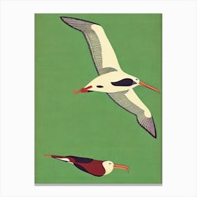 Albatross Midcentury Illustration Bird Canvas Print
