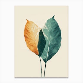 Two Leaves 3 Canvas Print