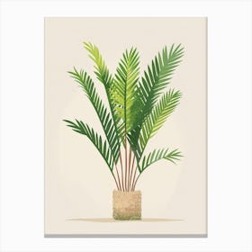 Sago Palm Plant Minimalist Illustration 6 Canvas Print