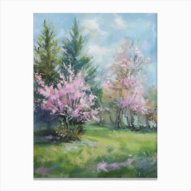 Cherry Blossoms 1 Canvas Print