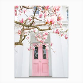 Pink Magnolia Canvas Print