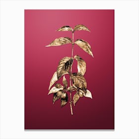 Gold Botanical Cornelian Cherry on Viva Magenta n.4471 Canvas Print