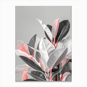 Abstract Plant 3 Canvas Print