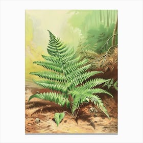 Vintage Illustration Walking Fern 2 Canvas Print