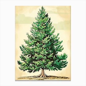 Fir Tree Storybook Illustration 2 Canvas Print