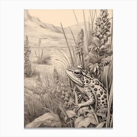 Desert Wave Frog Drawing 9 Canvas Print