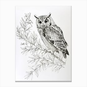 Collared Scops Owl Drawing 3 Canvas Print