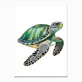 Conservation Sea Turtle, Sea Turtle Vintage 1 Canvas Print
