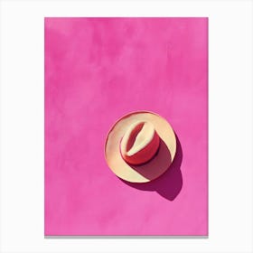 Hat On A Pink Background Canvas Print