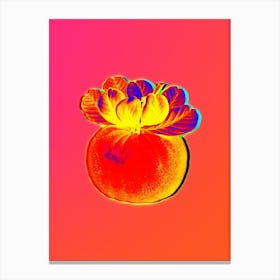 Neon Bigarade Orange Botanical in Hot Pink and Electric Blue n.0255 Canvas Print