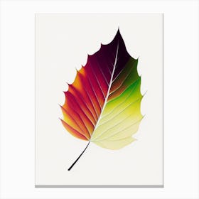 Sycamore Leaf Abstract 3 Canvas Print
