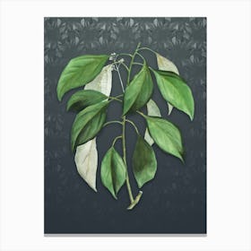 Vintage Camphor Tree Botanical on Slate Gray Pattern n.0190 Canvas Print