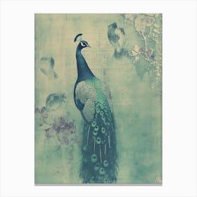 Vintage Turquoise Peacock Print Canvas Print