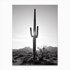 Arizona, Usa, Black And White Analogue Photograph 3 Canvas Print