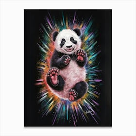 Panda Bear Canvas Print