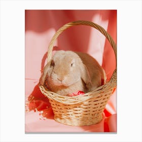 Rabbit In A Basket 1 Canvas Print