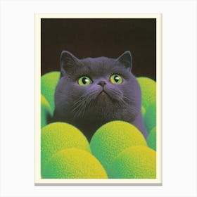 Cat In The Balls Canvas Print