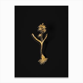 Vintage Alpine Squill Botanical in Gold on Black Canvas Print