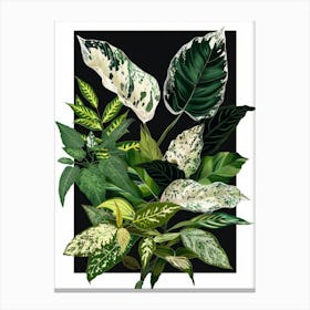 Tropical Plants 1 Canvas Print