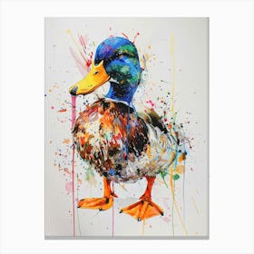 Duck Colourful Watercolour 4 Canvas Print