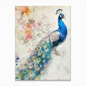 Peacock Messy Floral Sketch Canvas Print