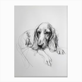 Basset Hound Dog Charcoal Line 1 Canvas Print