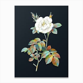 Vintage White Rose Botanical Watercolor Illustration on Dark Teal Blue n.0359 Canvas Print