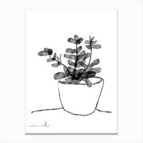 Window Plant Canvas Print