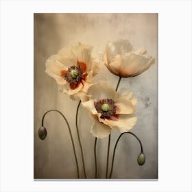 Poppies 36 Canvas Print