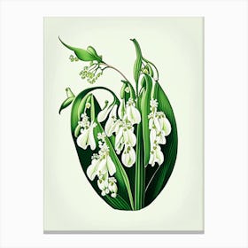 Lily Of The Valley Wildflower Vintage Botanical 2 Canvas Print