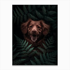 Dog Brown In The Forest Canvas Print