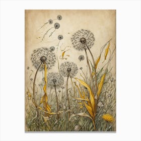 Dandelion Canvas Print