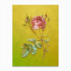 Vintage Pink Cumberland Rose Botanical Art on Empire Yellow n.0788 Canvas Print