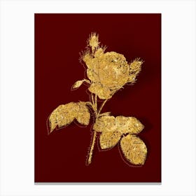 Vintage Pink Cabbage Rose Botanical in Gold on Red n.0443 Canvas Print