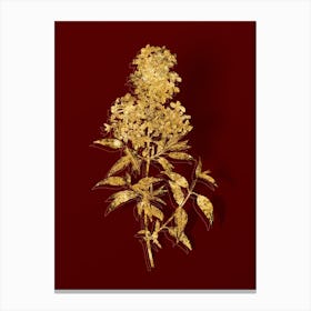 Vintage Persian Lilac Botanical in Gold on Red n.0463 Canvas Print