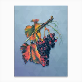 Vintage Black Grape Botanical Art on Summer Song Blue n.0122 Canvas Print
