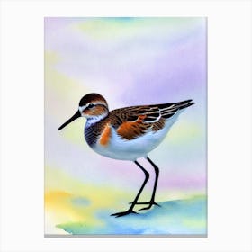 Dunlin 2 Watercolour Bird Canvas Print