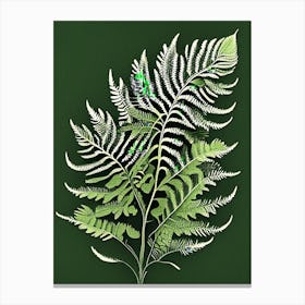 Leatherleaf Fern Vintage Botanical Poster Canvas Print