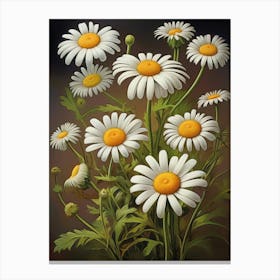 Denmark National Flower Marguerite Daisy Canvas Print