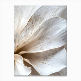 Abstract minimal White Flower Canvas Print