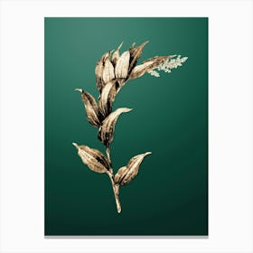 Gold Botanical Treacleberry on Dark Spring Green n.4906 Canvas Print