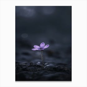 Purple Flower In The Dark 1 Canvas Print