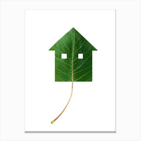 Green House On A Leaf Canvas Print