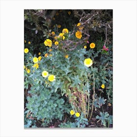 Floral Garden in Kodaikanal, India. Photograph 27 Canvas Print