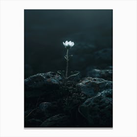 White Flower In The Dark 15 Canvas Print