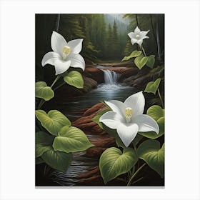 Canada White Trillium Flower Canvas Print