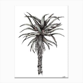 Watercolour Single Aloe Canvas Print