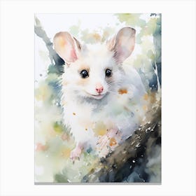 Light Watercolor Painting Of A Urban Possum 3 Canvas Print