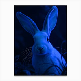 Rabbit In Blue Light - Diverse Art Illustration 49 Canvas Print