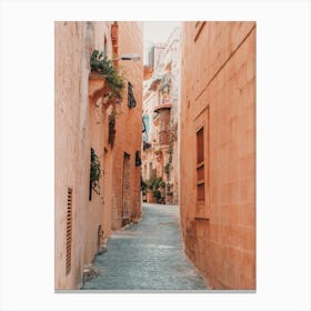 Moroccan Alleyway Canvas Print